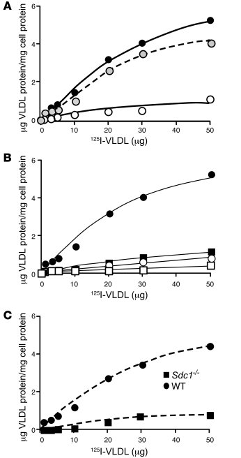 Syndecan-1 mediates binding of VLDL.
(A) Wild-type cells were incubated ...