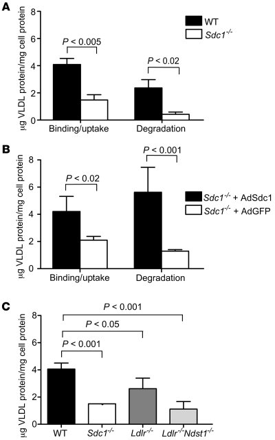 Binding, uptake, and degradation of VLDL at 37°C.
(A) Uptake and degrada...