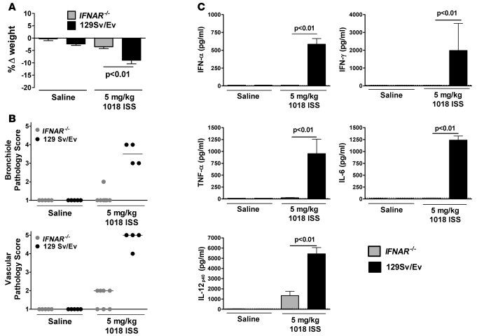 1018 ISS–induced toxicity is absent in IFNAR–/– mice.
   
Knockout and w...