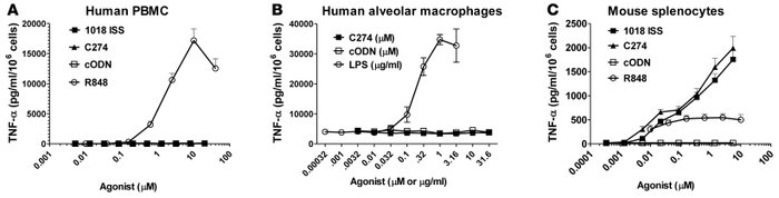 Human PBMCs and alveolar macrophages produce minimal TNF-α in response t...