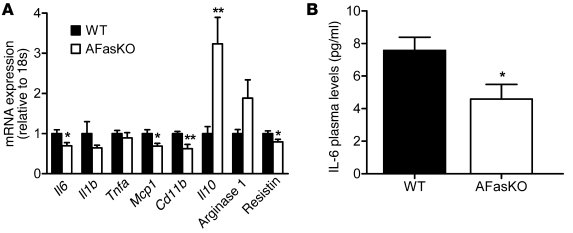 Reduced inflammatory profile in HFD-fed AFasKO mice.
(A) Quantitative RT...