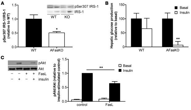 Improved hepatic insulin sensitivity in AFasKO mice.
(A) Lysates were im...