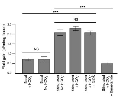 Effect of PGE2 and 5-HT ± HCO3– on fluid movement in isolated intestinal...