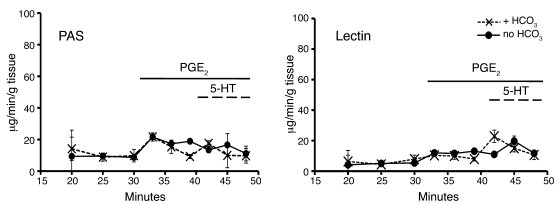 Effect of luminal HCO3– on mucus release.
   
In contrast with serosal H...