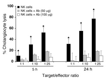Block of cholangiocyte lysis by anti-Nkg2d antibodies.
Mean (±SD) percen...