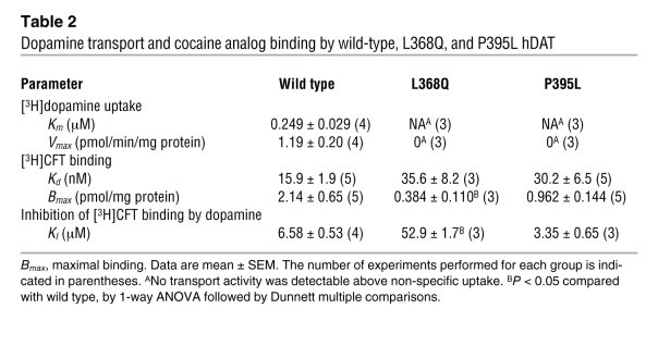 Dopamine transport and cocaine analog binding by wild-type, L368Q, and P...