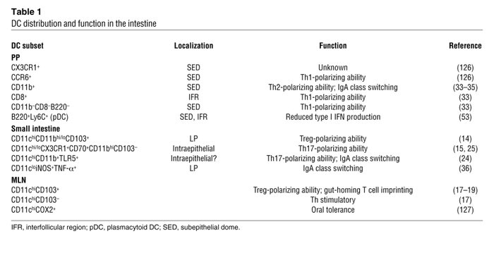 DC distribution and function in the intestine