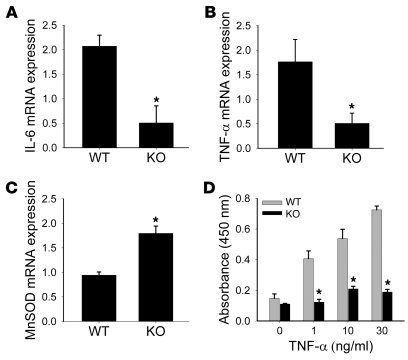 
Dbc1 KO mice and cells are protected against inflammation.
   
(A–C) Se...