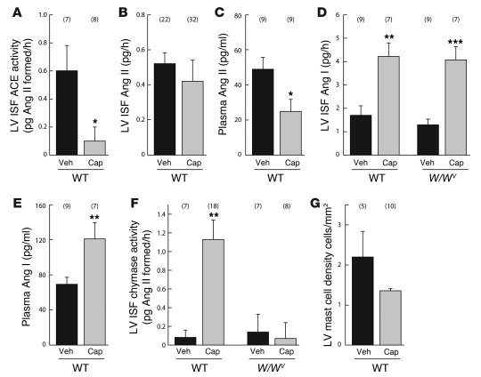 Effect of chronic ACE inhibitor treatment on angiotensins and Ang II–for...