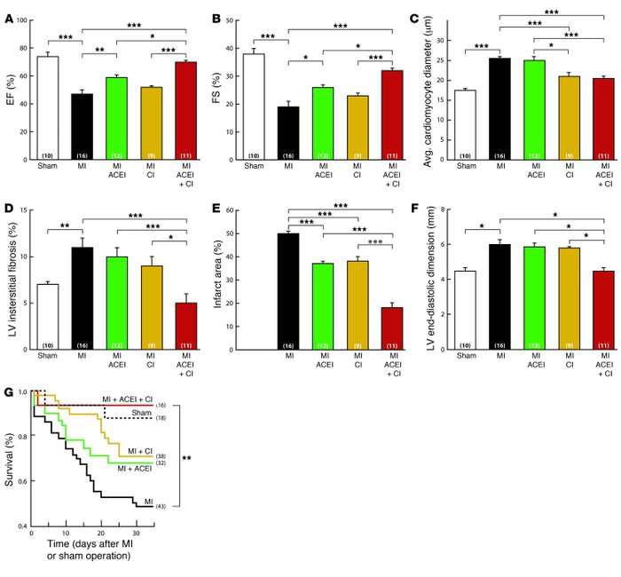 Effect of ACE inhibitor, chymase inhibitor, or combination therapy on LV...