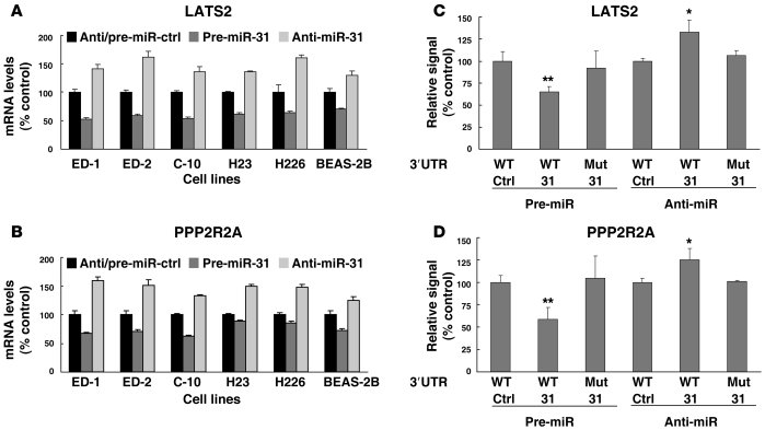 LATS2 and PPP2R2A are miR-31 target mRNAs.
Real-time RT-PCR assays confi...