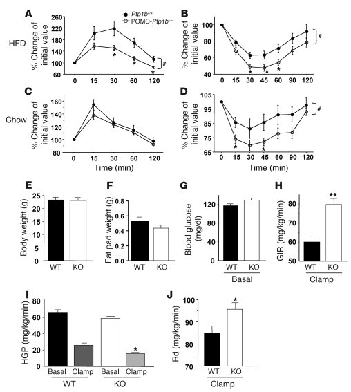 Insulin sensitivity and glucose homeostasis are improved in POMC-Ptp1b–/...