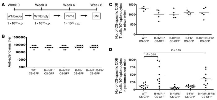 Effect of preexisting anti-Ad immunity on the induction of P. yoelii CS–...