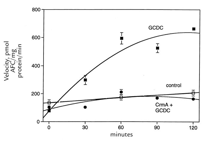 The increased cleavage of IETD-AFC in cytosol from GCDC-treated McNtcp.2...