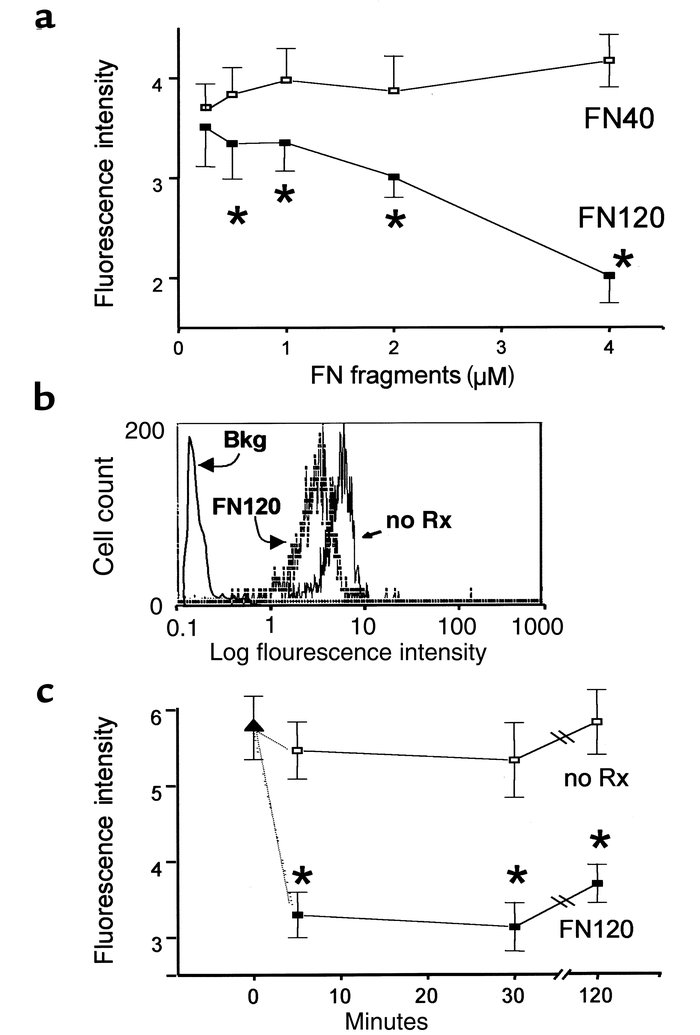 Effect of 40-kDa (FN40) and 120-kDa (FN120) fragments of FN on VLA-5 exp...