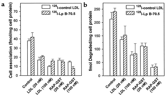 125I-apo B-100 LDL and 125I-Lp B-70.5 were metabolized to a similar exte...