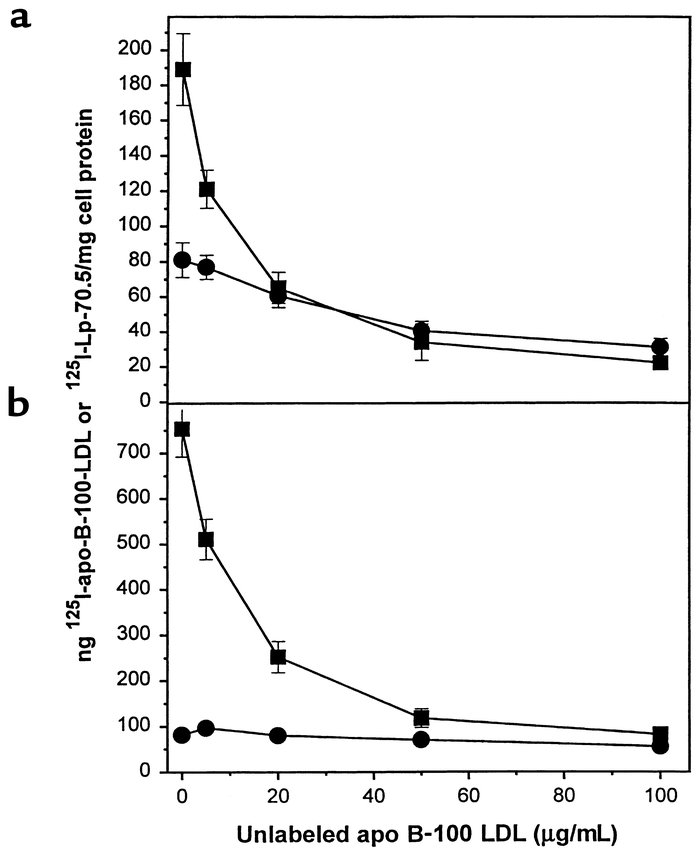 Uptake and degradation of 125I-Lp B-70.5 and 125I-apo B-100 LDL by TR-71...