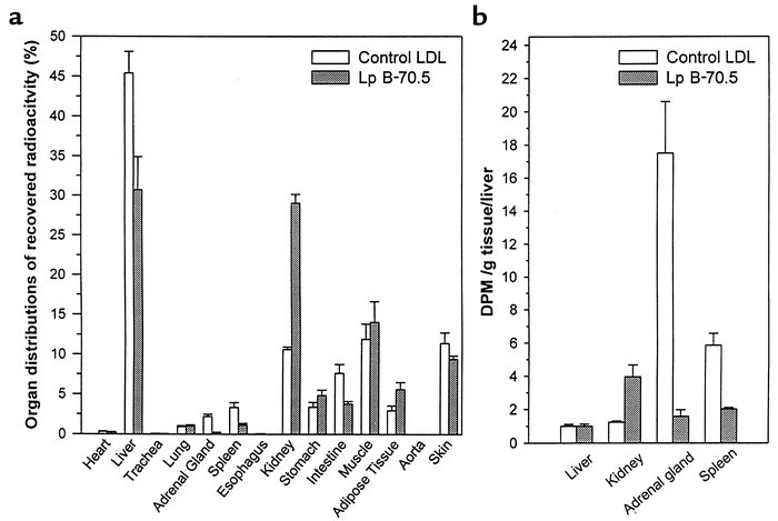 Organ distribution of the recovered 125I- or 131I-radioactivity in NZW r...