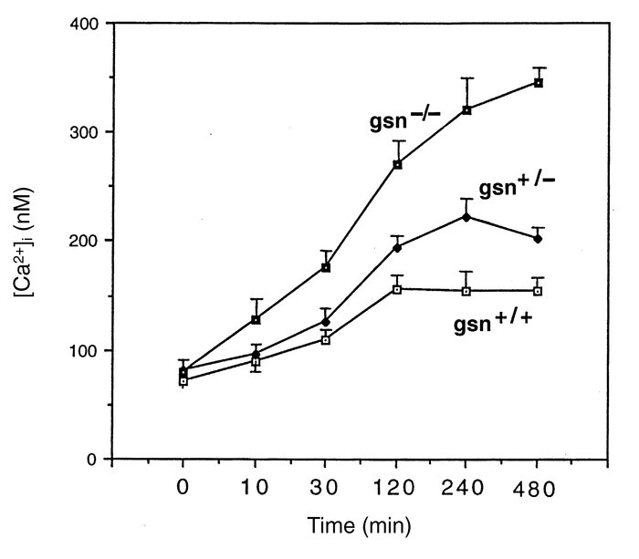 Elevation of intracellular Ca2+ levels following combined glucose and ox...