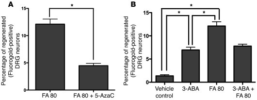 Dnmt agonist promotes, and Dnmt antagonist inhibits, the regeneration of...