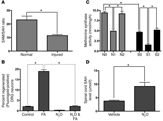 Combined spinal cord and peripheral nerve injury inhibits methyl cycling...