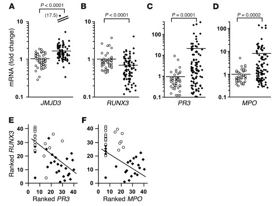 Expression of autoantigen and potential regulators.
(A–D) Relative mRNA ...