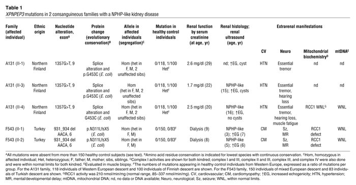 XPNPEP3 mutations in 2 consanguineous families with a NPHP-like kidney d...