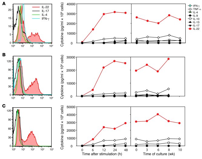 Th22 clones show a stable phenotype.
Skin T cell lines were cloned by li...