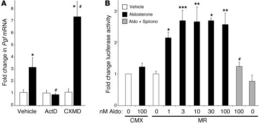 Mechanism of aldosterone regulation of PGF expression.
(A) Aldosterone r...