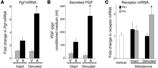 Endothelial injury enhances aldosterone-stimulated expression of PGF and...