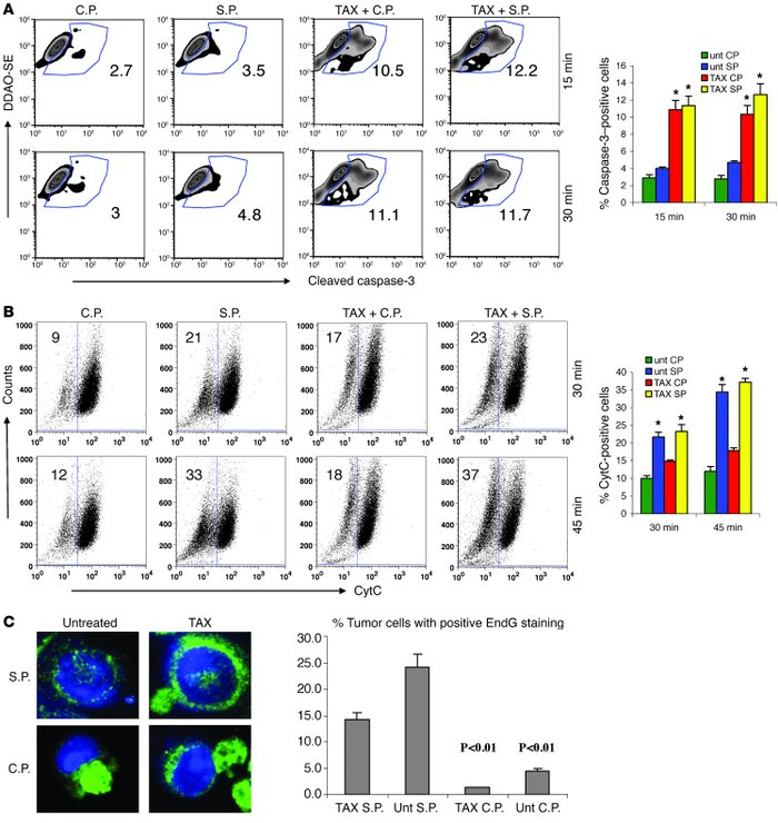 Mechanism of apoptosis induced by CTLs and TAX.
(A) Cleaved caspase-3 in...