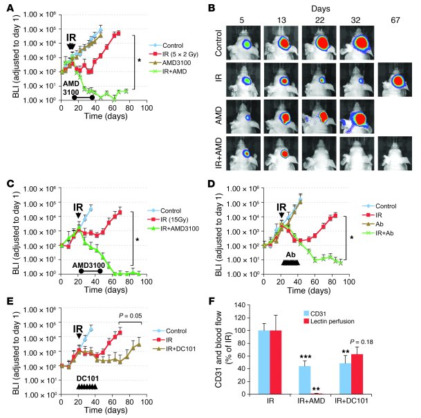 Therapeutic effect of blocking the interaction of SDF-1 with CXCR4 after...