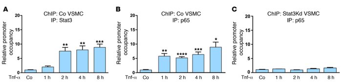 Interdependent Stat3 and p65 binding to NF-κB–binding site no. 1 of the ...