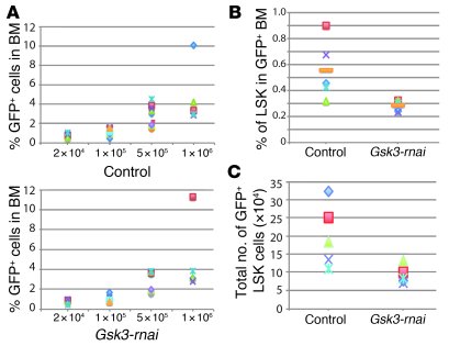 
Gsk3-depleted HSCs are functionally deficient.
   
(A) Limiting dilutio...