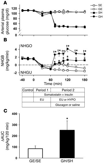 Blood glucose levels and NHGB.
(A) Arterial plasma glucose. (B) NHGB. Ex...