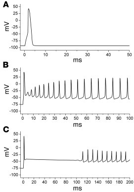 Resurgent sodium current effects on action potential firing in a simulat...