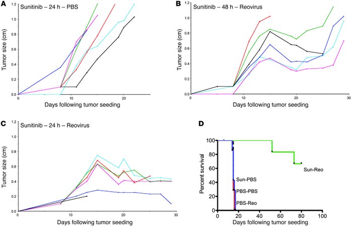 Sunitinib inhibition of VEGF165-producing tumors synergizes with systemi...