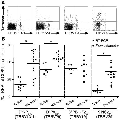 Preferred TRBV usage in naive and immune epitope–specific CD8+ T cell po...