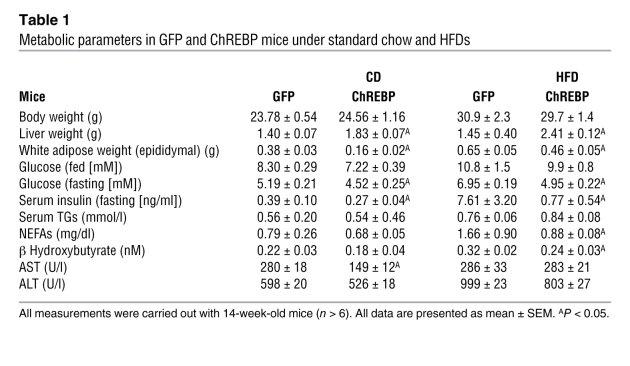 Metabolic parameters in GFP and ChREBP mice under standard chow and HFDs