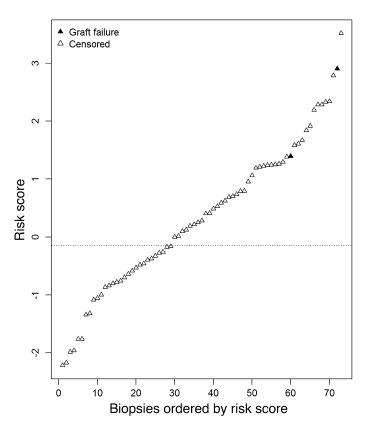 Molecular risk scores in biopsies taken within 1 year after transplantat...