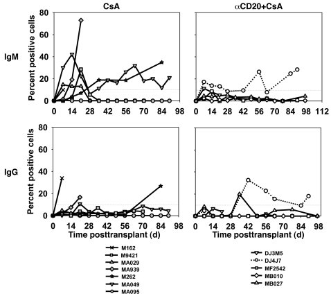 B cell depletion is associated with inhibition of alloantibody productio...