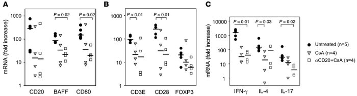 Intragraft gene expression in explanted cardiac allografts.
Relative exp...