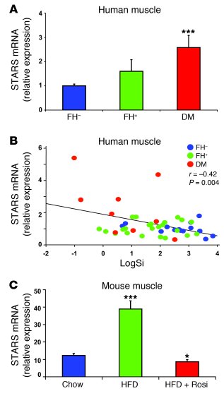 Expression of STARS gene is increased in insulin-resistant humans and ro...