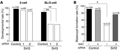 RNAi-mediated Sirt3 knockdown adversely affects preimplantation developm...