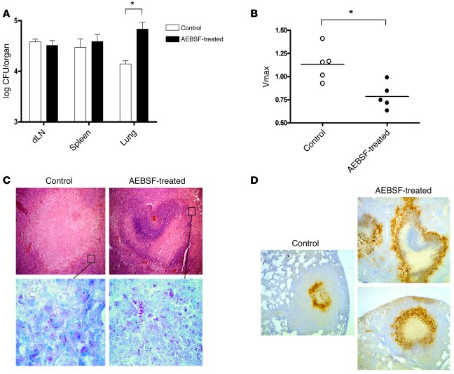 Serine protease activity in hypoxic regions of granulomas protects again...