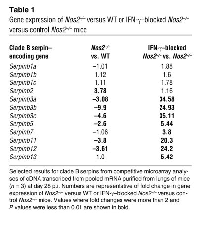Gene expression of Nos2–/– versus WT or IFN-γ–blocked Nos2–/– versus con...