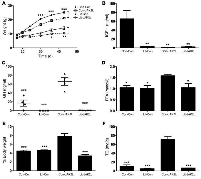 Abrogation of GH secretion by a genetic cross to GH-deficient little mic...