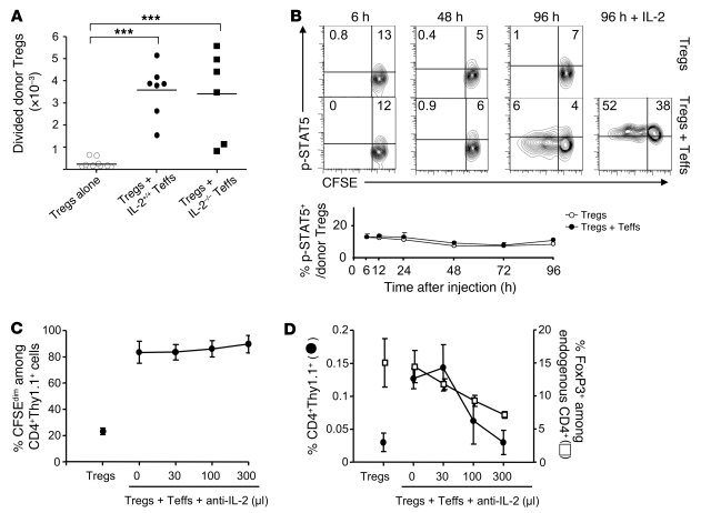 The Teff→Treg boost is not mediated by IL-2.
(A) Ins-HA mice were transf...