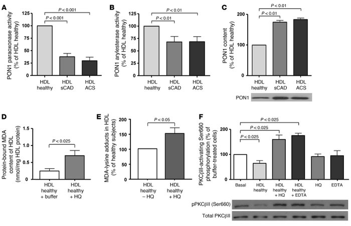 Activity and content of HDL-associated PON1 in healthy subjects and pati...