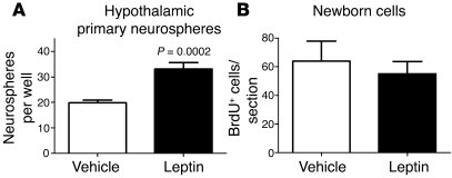 Leptin infusion increases the number of neurosphere-forming neural stem/...